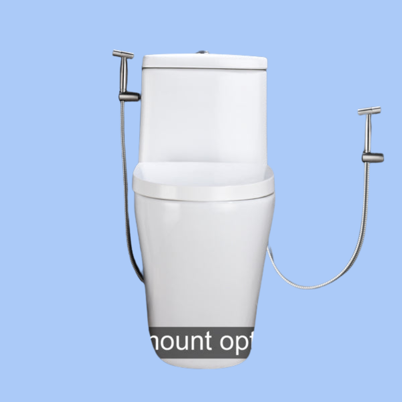 BumGuns™ Classic Sprayer — Chrome