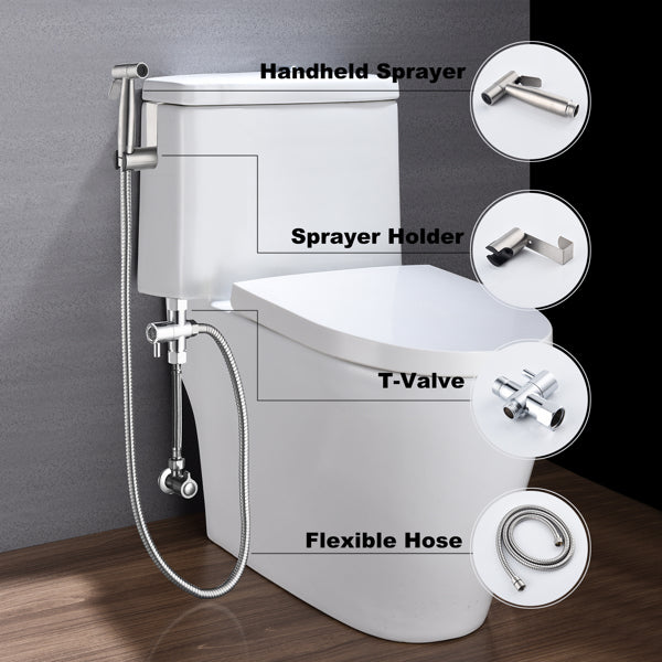 BumGuns™ Classic Sprayer — Chrome
